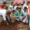 MUMBAI CONGRESS KRIPASHANKAR SINGH PLANTING TREE AT NEAR RAJIV GANDHI BHAVAN MUMBAI CST ON OCCASION OF WORLD ENVIRONMENT DAY.