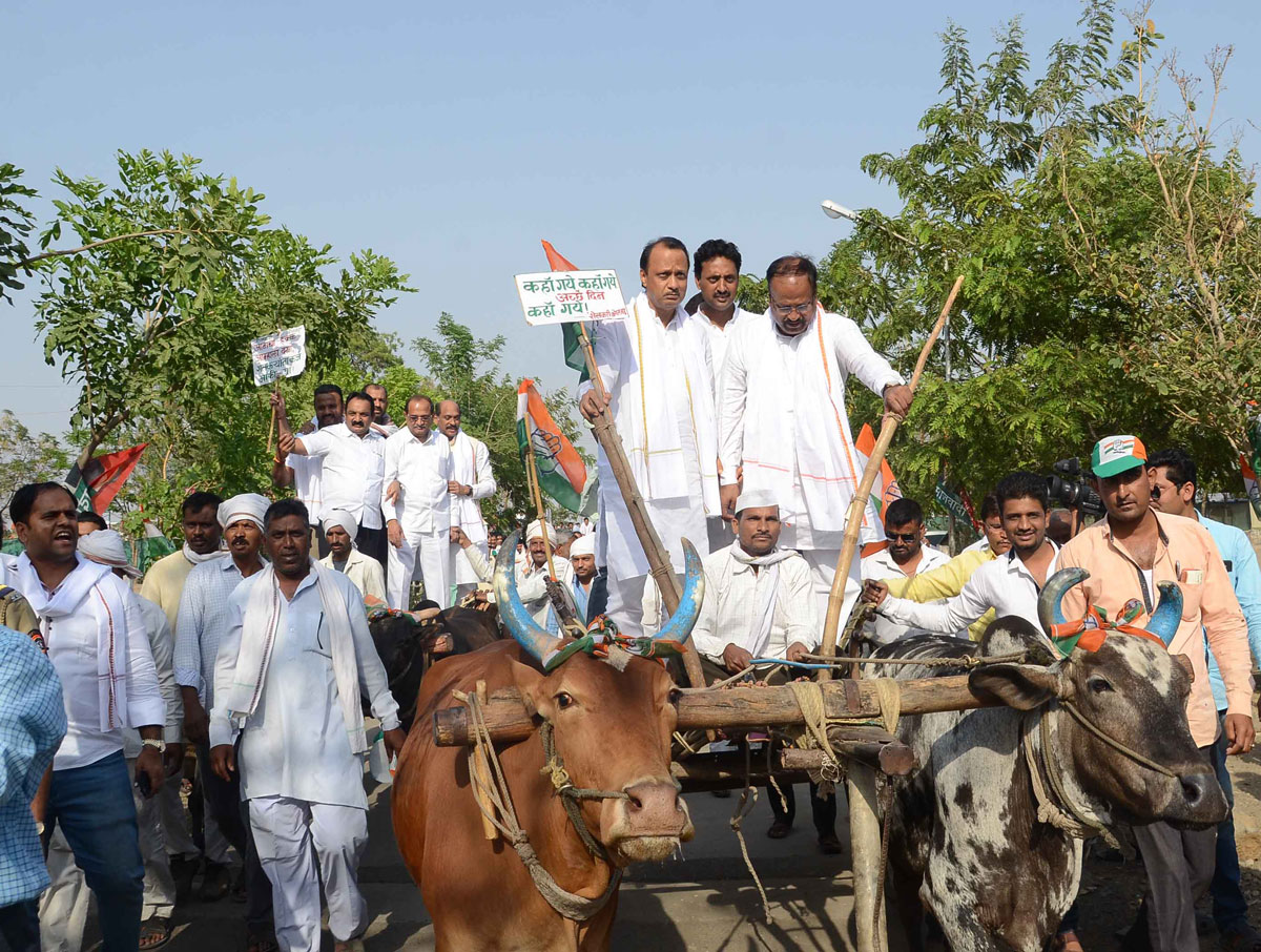 All Opposition Parties together on Second Phase of Sangharsh Yatra for the Justice of Farmers in Maharashtra.