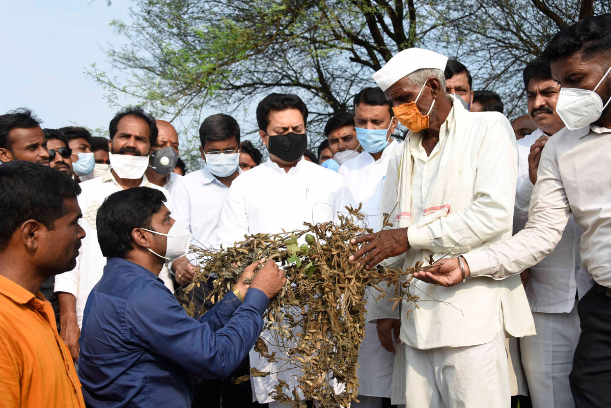 Latur District Guardian Minsiter Amit Deshmukh visit Beed Devrai Drought Area due Heavy Rainfall.