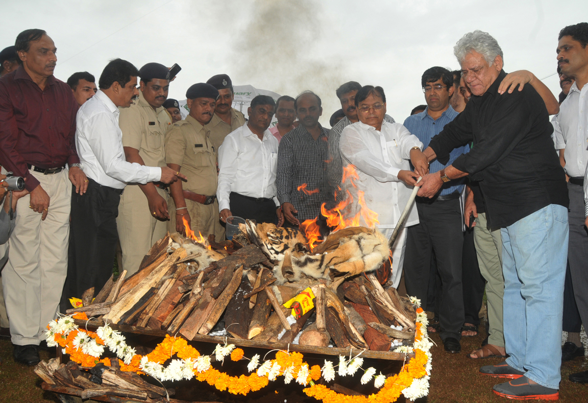 SAVE THE TIGER GLOBAL "TIGER DAY"  BY FOREST DEPARTMENT