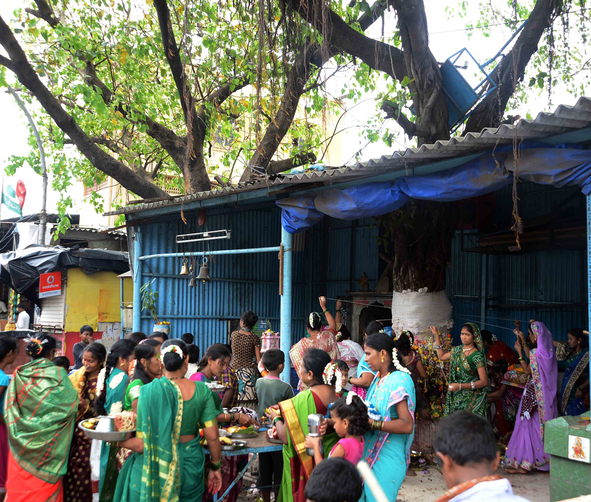 मुंबईत वट पूर्णिमेची पूजा करताना. . . . . . . . .