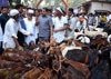 MINISTER MOHD.ARIF NASIM KHAN VISITED DEONAR ABATTIOIR BEEFORE EID-UL-AZHA.