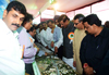 CHIEF MINISTER PRITHVIRAJ CHAVAN & DY CHIEF MINISTER AJITDADA PAWAR INAUGURATED EASTERN FREEWAY AT ORANGE GATE. CHIEF MINISTER PRITHVIRAJ CHAVAN & DY CHIEF MINISTER AJITDADA PAWAR INAUGURATED EASTERN FREEWAY AT ORANGE GATE.