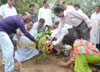 MRCC President Sanjay Nirupam Tree Plantation on World Environment Day.
