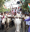 Mumbai Congress Protest Bullock Cart Rally against Petrol & Diesel  Price Hike at Mumbai CST.